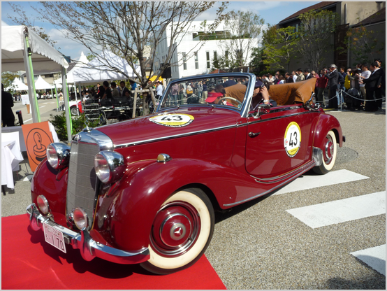 MERCEDES BENZ 170 CONVERTIBLE(1950)