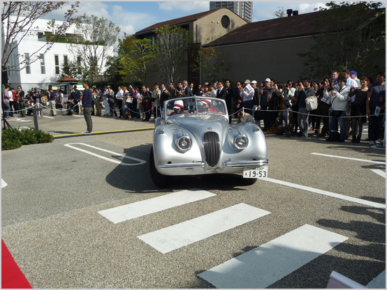 JAGUAR XK120 DHC(1953)