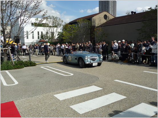 AUSTIN HEALEY 100/4 BN1(1954)