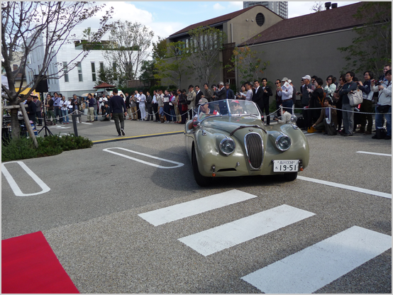 JAGUAR XK120 ROADSTER(1951)