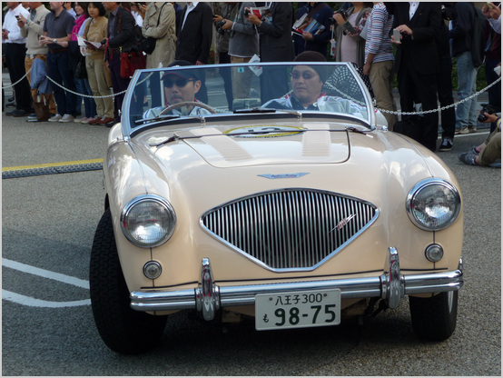 AUSTIN HEALEY 100/4 BN1(1954)